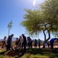 The Impact of Voluntary Organizations in Tucson, AZ on the Local Community