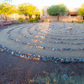 Volunteer Opportunities for Seniors at Voluntary Organizations in Tucson, AZ