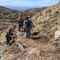 Exploring the Focus of Voluntary Organizations in Tucson, AZ