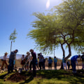The Long-Term Goals of Voluntary Organizations in Tucson, AZ