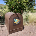 Exploring the Vibrant Voluntary Organizations in Tucson, AZ
