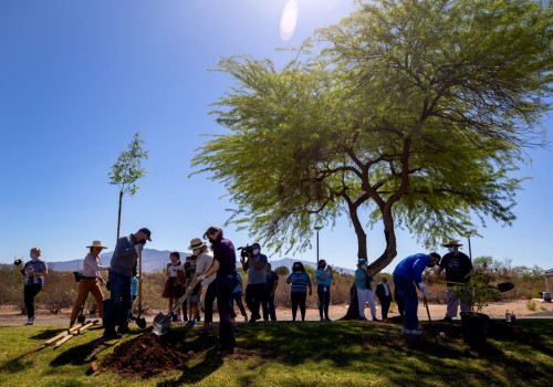 The Long-Term Goals of Voluntary Organizations in Tucson, AZ