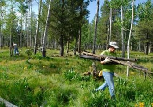 The Mission of Voluntary Organizations in Tucson, AZ
