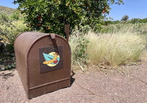 Exploring the Vibrant Voluntary Organizations in Tucson, AZ
